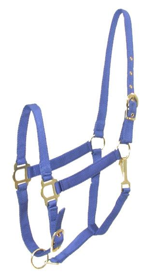 Gatsby Adjustable Nylon Halter With Snap Cob Royal