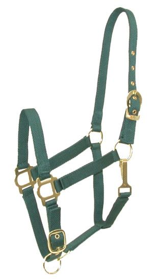 Gatsby Adjustable Nylon Halter With Snap Pony Hunter