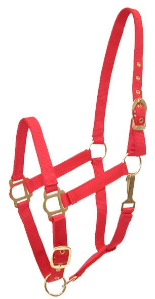 Gatsby Adjustable Nylon Halter With Snap Pony Red