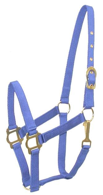 Gatsby Classic Nylon Halter with Snap Horse Royal Blue