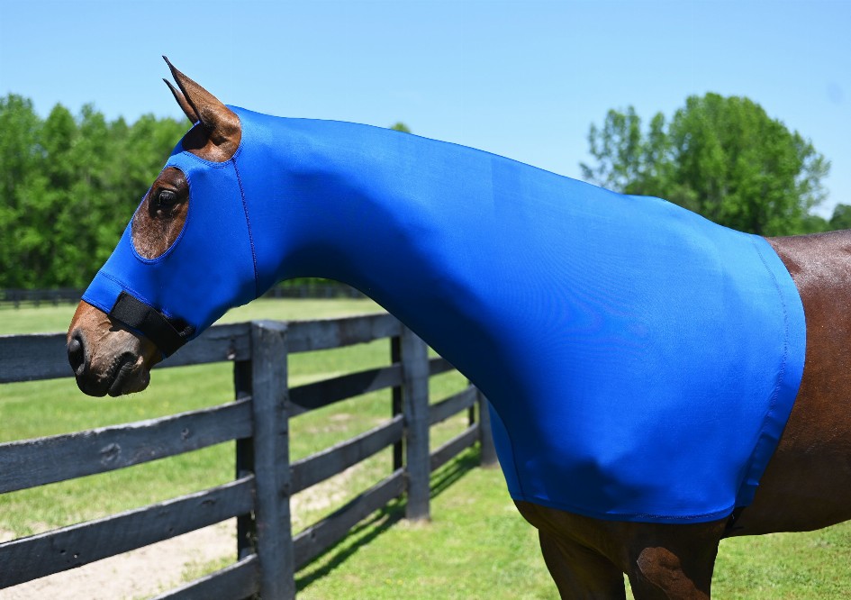 Gatsby Lycra Pull On Slicker Hood Large (1100-1400lbs) Royal