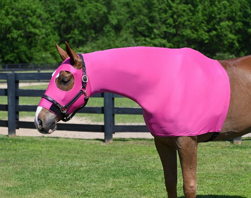 Gatsby Lycra Pull On Slicker Hood Small (500-800lbs) Hot Pink