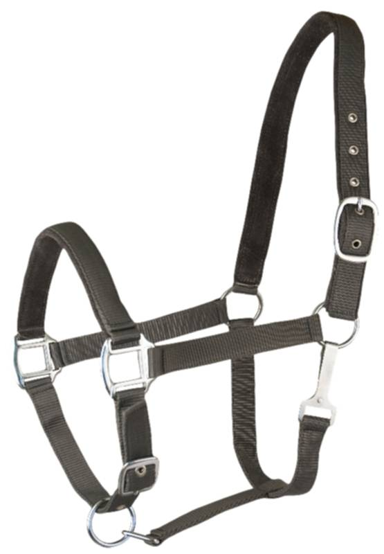 Gatsby Suede Padded Nylon Halter - Cob Dark Grey w/Dark Grey Padding