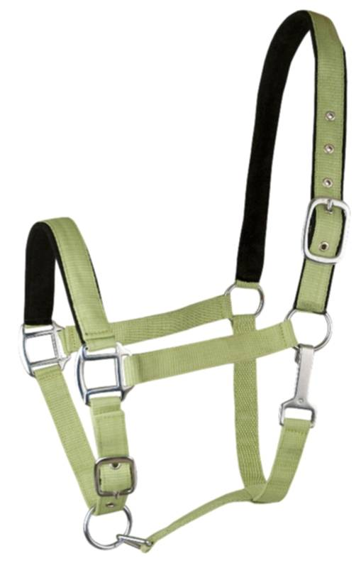 Gatsby Suede Padded Nylon Halter - Horse Apple Green w/Black Padding