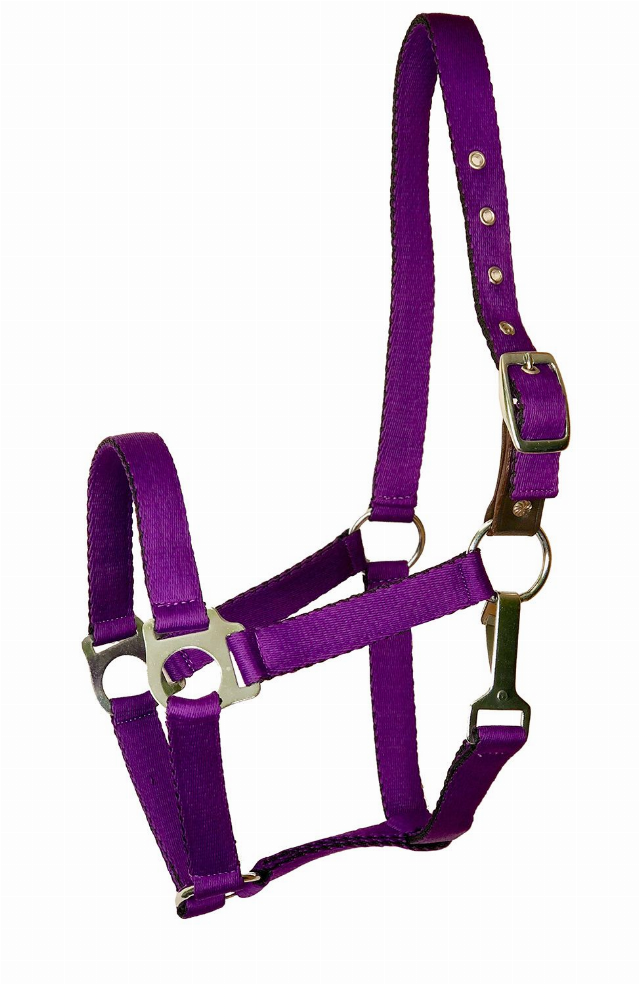 Gatsby Ultra Soft Nylon Safety Halter Horse Purple