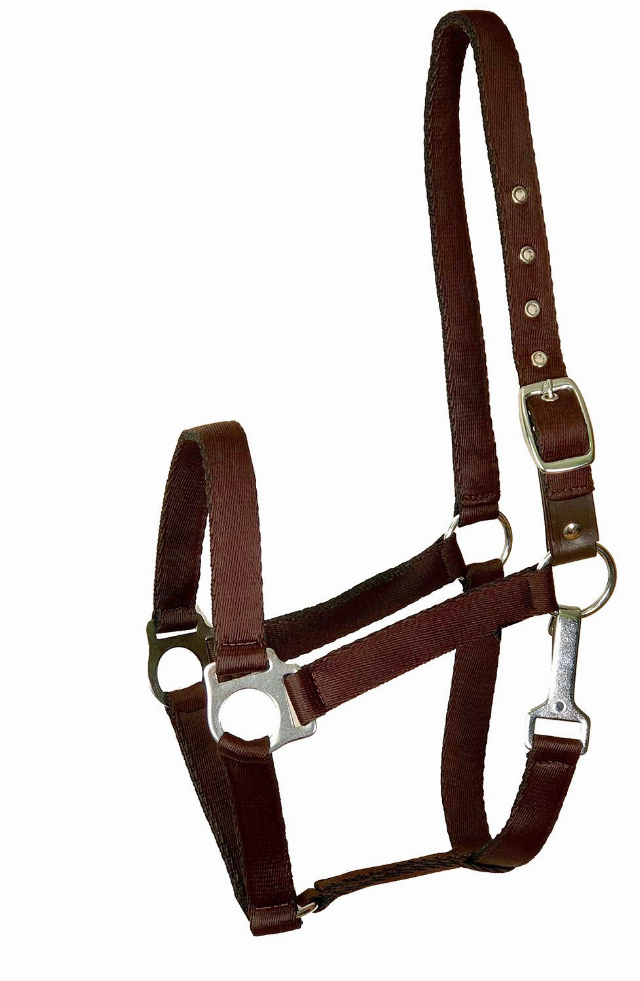 Gatsby Ultra Soft Nylon Safety Halter Cob Brown