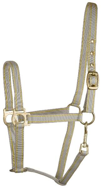 Gatsby Classic 2-Tone Nylon Halter with Snap Pony Grey/Yellow