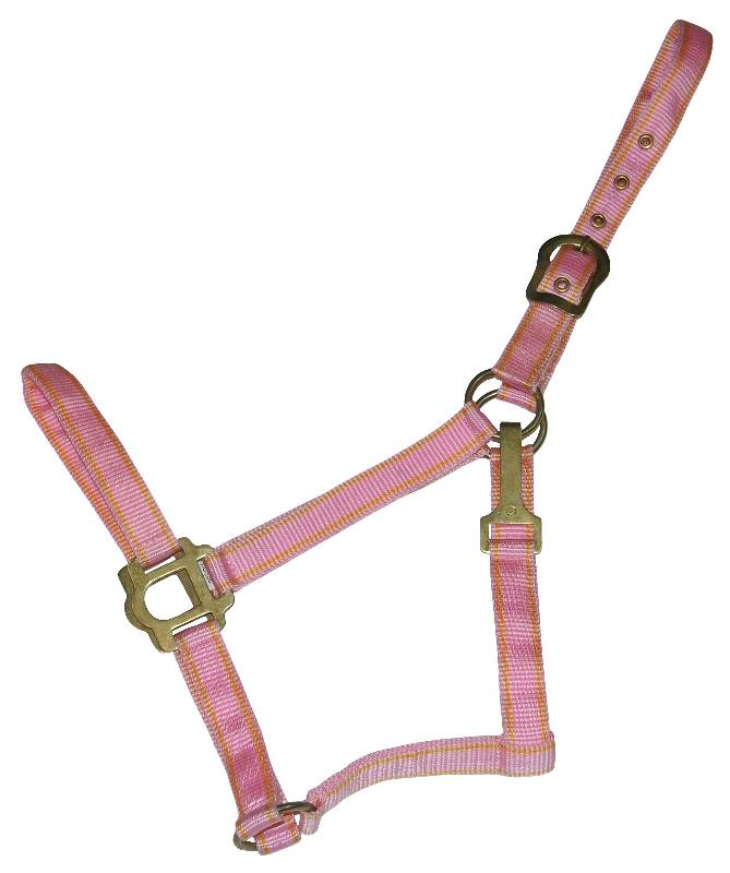 Gatsby Classic 2-Tone Nylon Halter with Snap Horse Pink/Lt Blue