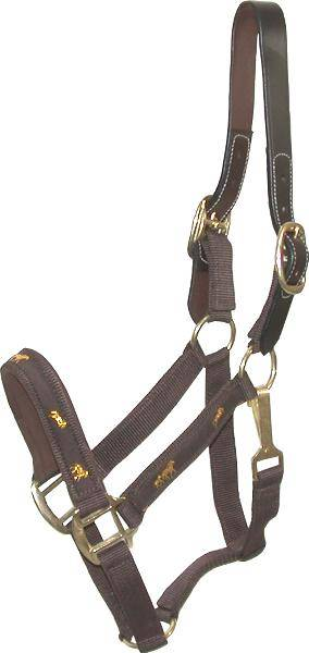 Gatsby Nylon Breakaway Halter with Horse Overlay & Snap Cob Brown