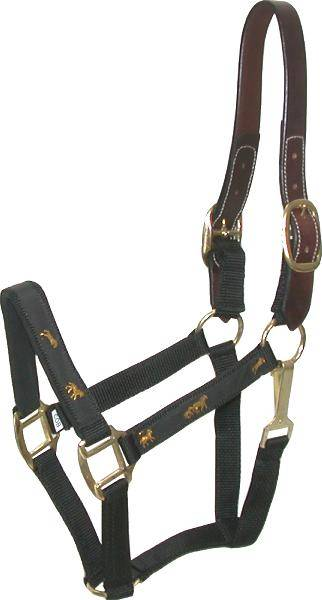 Gatsby Nylon Breakaway Halter with Horse Overlay & Snap Cob Black