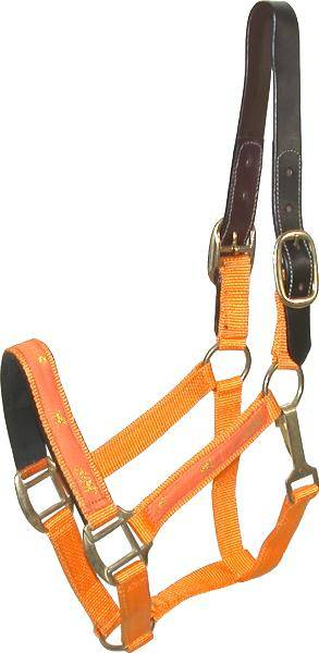 Gatsby Nylon Breakaway Halter with Horse Overlay & Snap Horse Orange