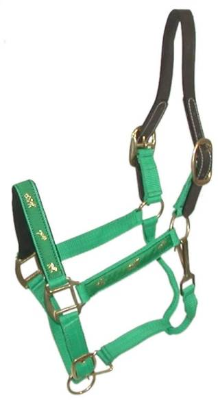 Gatsby Nylon Breakaway Halter with Horse Overlay & Snap Cob Green