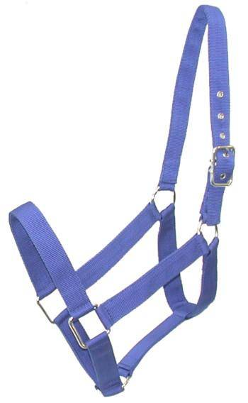 Gatsby Nylon Draft Halter Draft Royal Blue