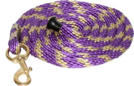 Gatsby Polypropylene 10' Lead with Snap 10' Dark Purple/Gold