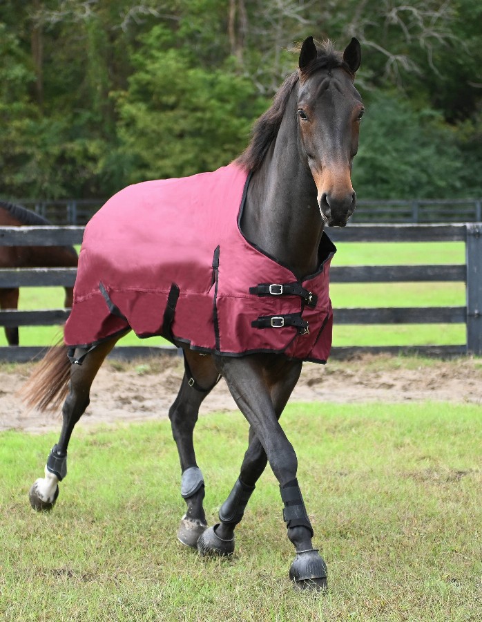 Gatsby Premium 1200D Heavyweight Waterproof Turnout Blanket 81" Merlot