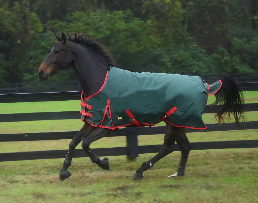 Gatsby Premium 1200D Heavyweight Waterproof Turnout Blanket 78" Dark Green