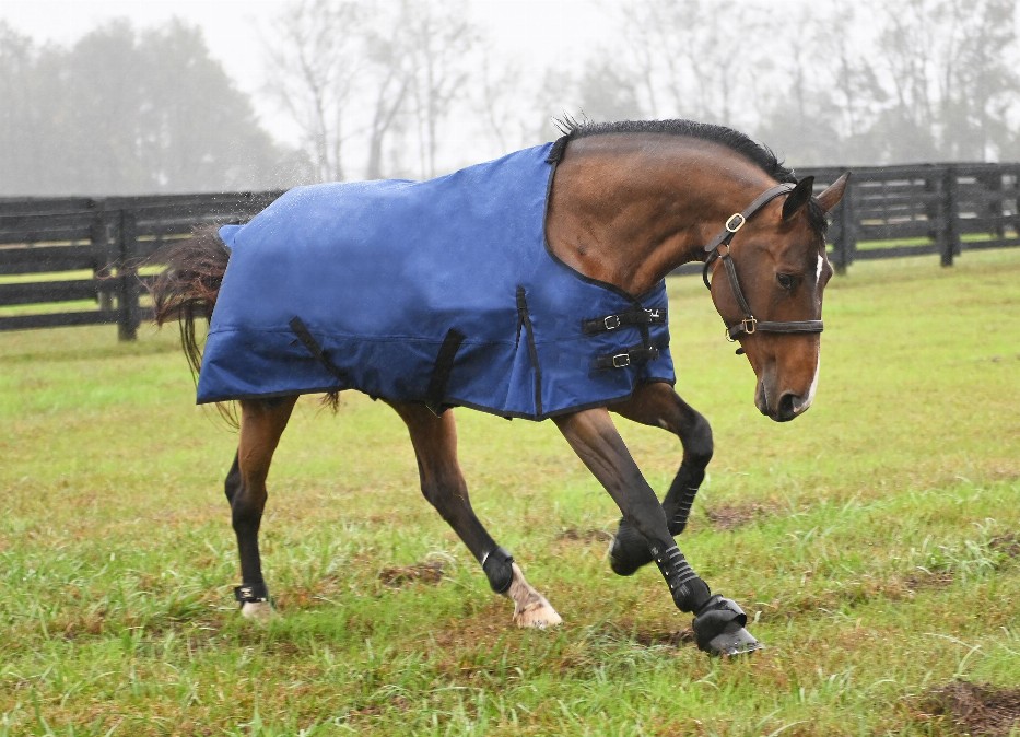 Gatsby Premium 1200D Waterproof Turnout Sheet 69" Deep Blue