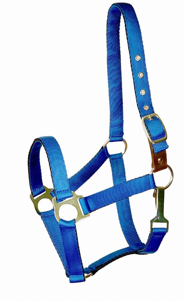 Gatsby Ultra Soft Nylon Safety Halter Horse Royal Blue