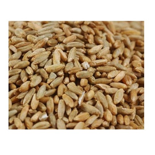 Grains Rye Berries (1x25LB )