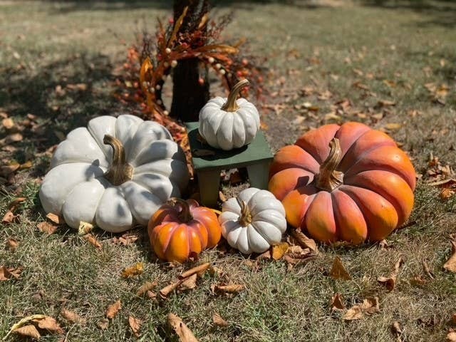 Pumpkins - SKINNY SMALL WHITE