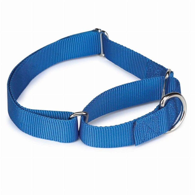 GG Nylon Martingale Collar 14-20in Blue