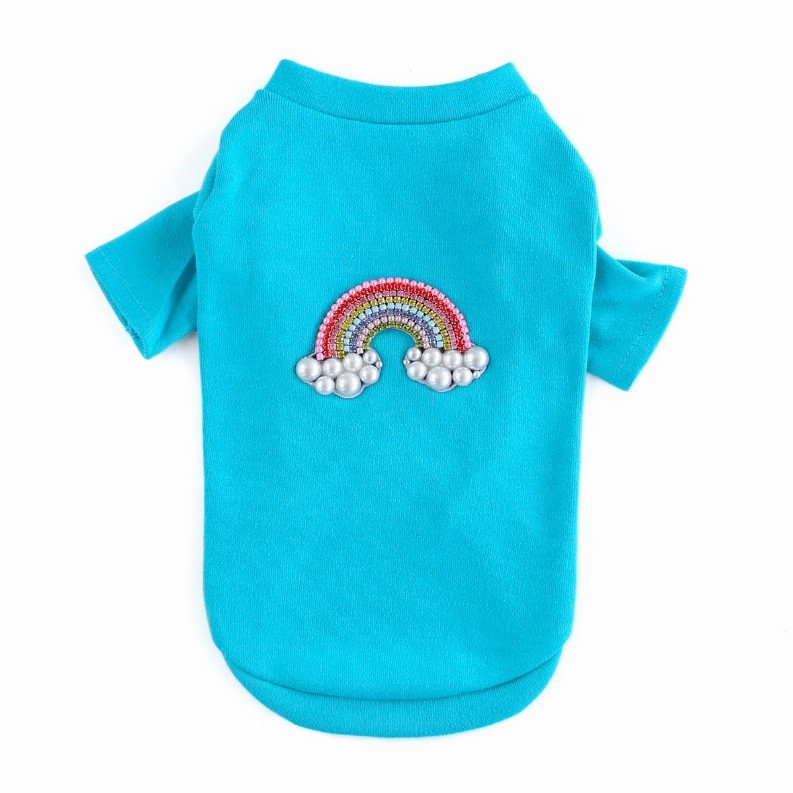 Rainbow Tee - Large Aqua