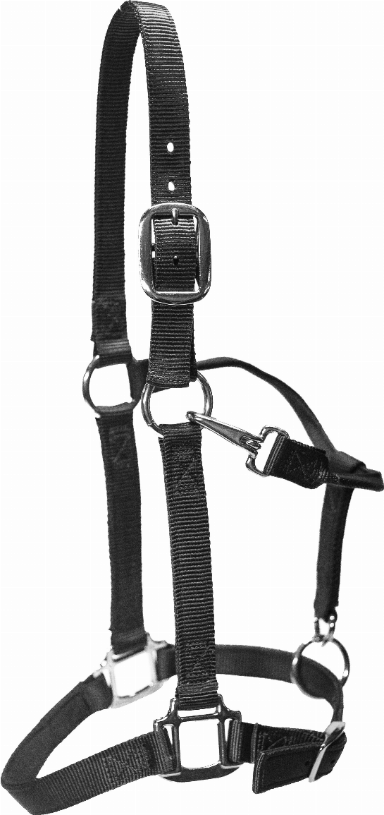 Nylon Halters  COB 1"  Silver