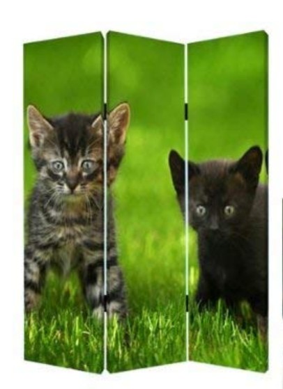 1" x 48" x 72" Multi Color Wood Canvas Curious Cat Screen