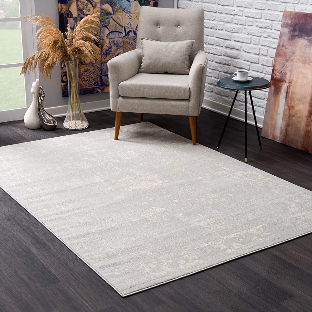 2 x 3 Modern Gray Distressed Scatter Rug