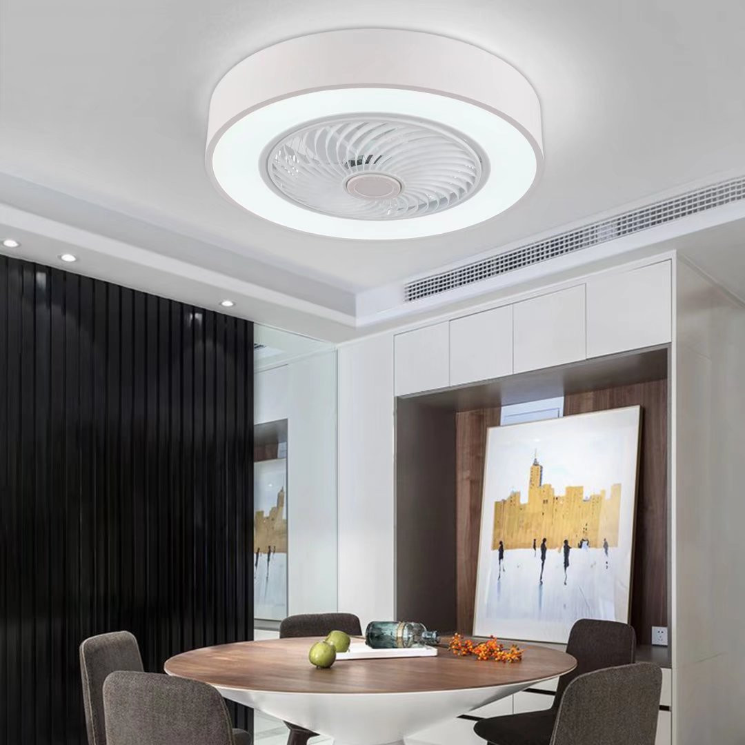 Contemporary White Ceiling Lamp And Fan