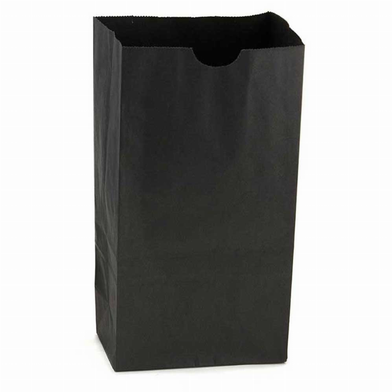 Paper Bags -  #6 Black