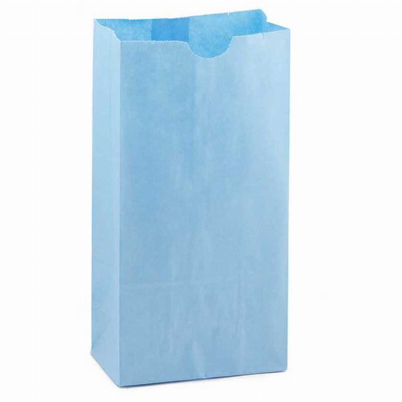 Paper Bags -  #6 Blue