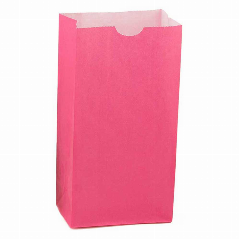 Paper Bags -  #6 Magenta