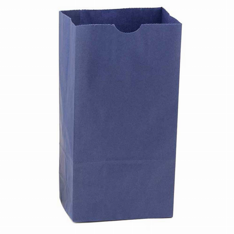 Paper Bags -  #6 Navy Blue