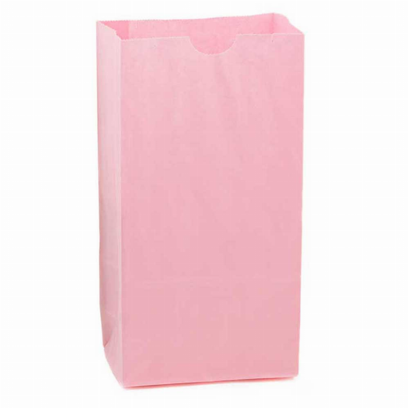 Paper Bags -  #6 Pink