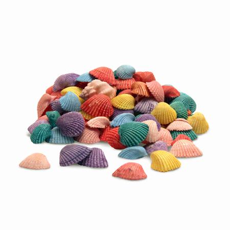 Seashells - 10 oz  Multicolor Mix