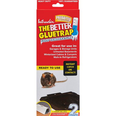 17515 2Pk Cold Temp Glue Trap