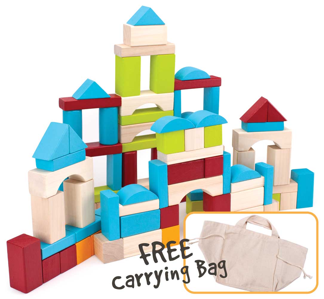 100 Piece Wooden Block Set with Carrying Bag