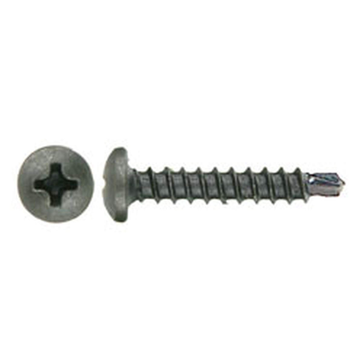 Screws Phillips Panhead Hex #8 3/4 in. 500