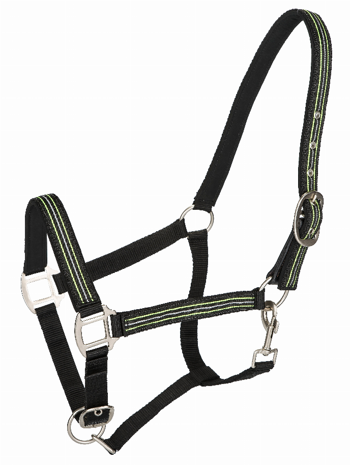 TuffRider Adjustable Nylon Breakaway Halter with Padded Crown and Nickel Hardware C Gray