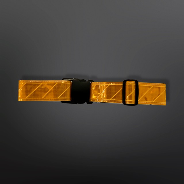 Reflective Web Belt - Gold