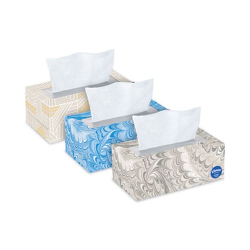 Trusted Care Facial Tissue, 2-Ply, White, 160 Sheets/Box, 3 Boxes/Pack, 4 Packs/Carton