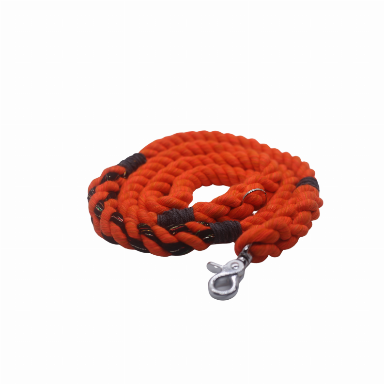 Halloween Leash - 6 ft Halloween