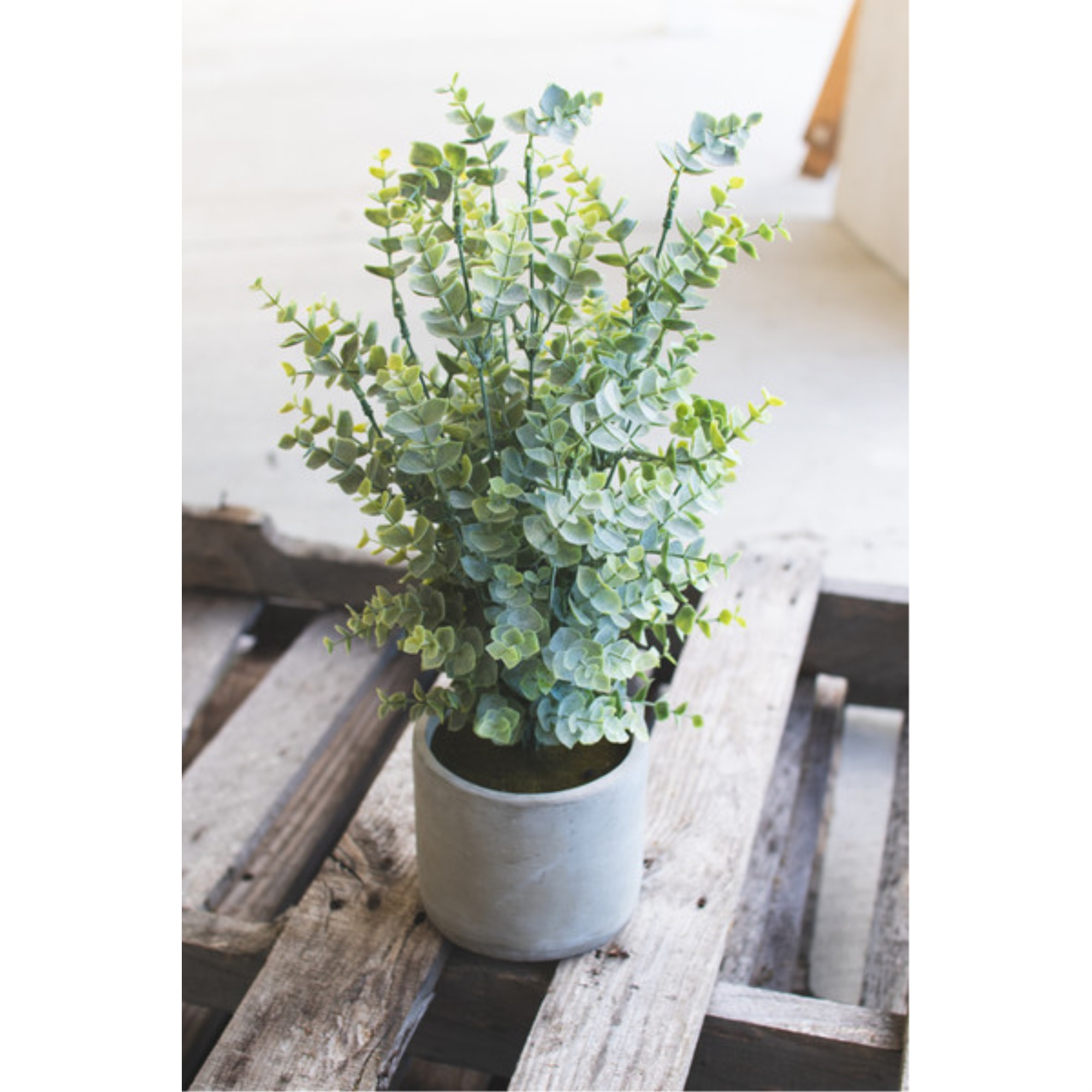 Artificial Boxwood In A Cement Pot