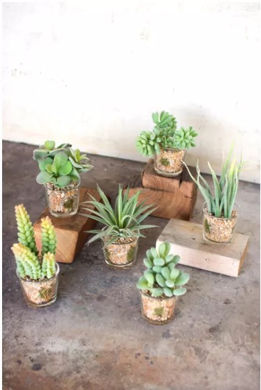 Set Of Six Artificial Succulents In Glass Containers