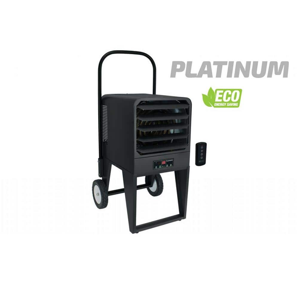 PKB PLATINUM PORTABLE UNIT 208V 10KW 1-PH