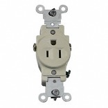 S11-05015-Kis Iv Single Ground Outlet
