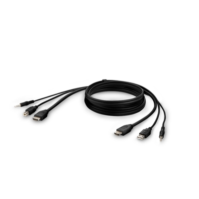 TAA HDMI USB AUD CBL HDMI 6