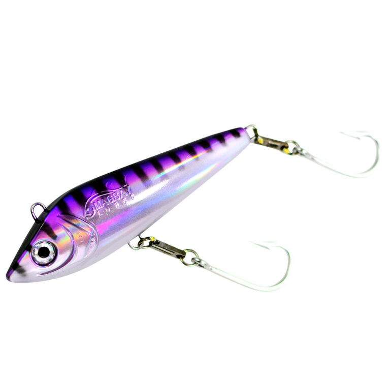 Desperado - 7.5in Purple/White