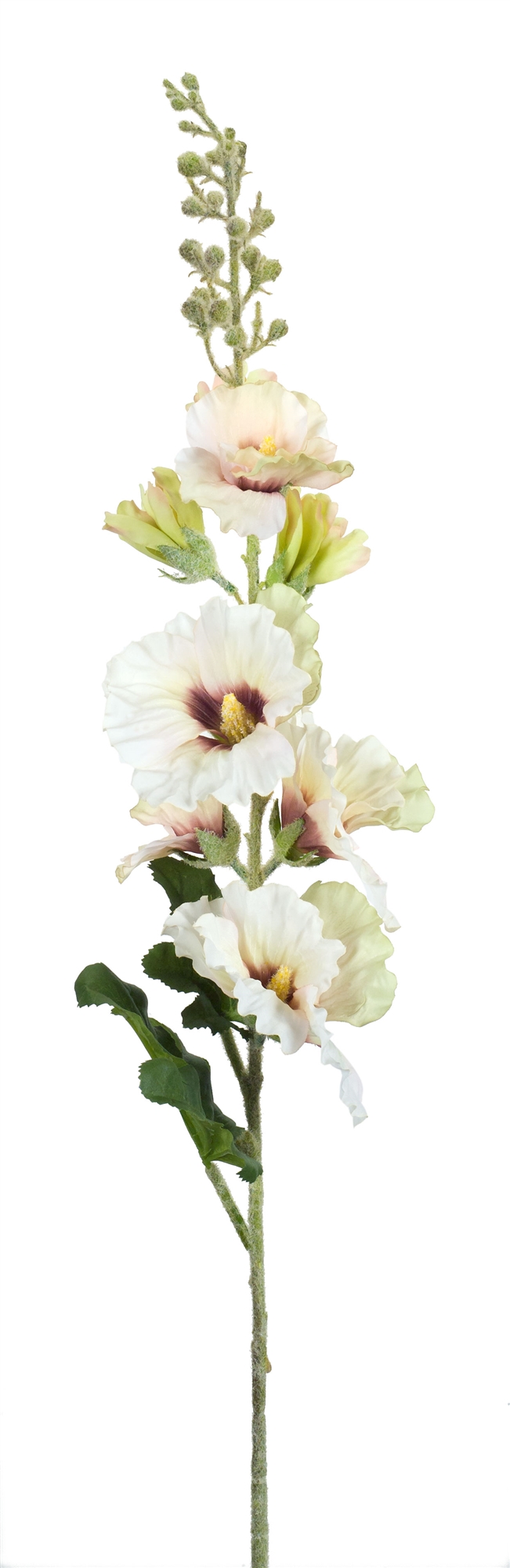 Hollyhock (Set of 6) 36"H Polyester/Plastic